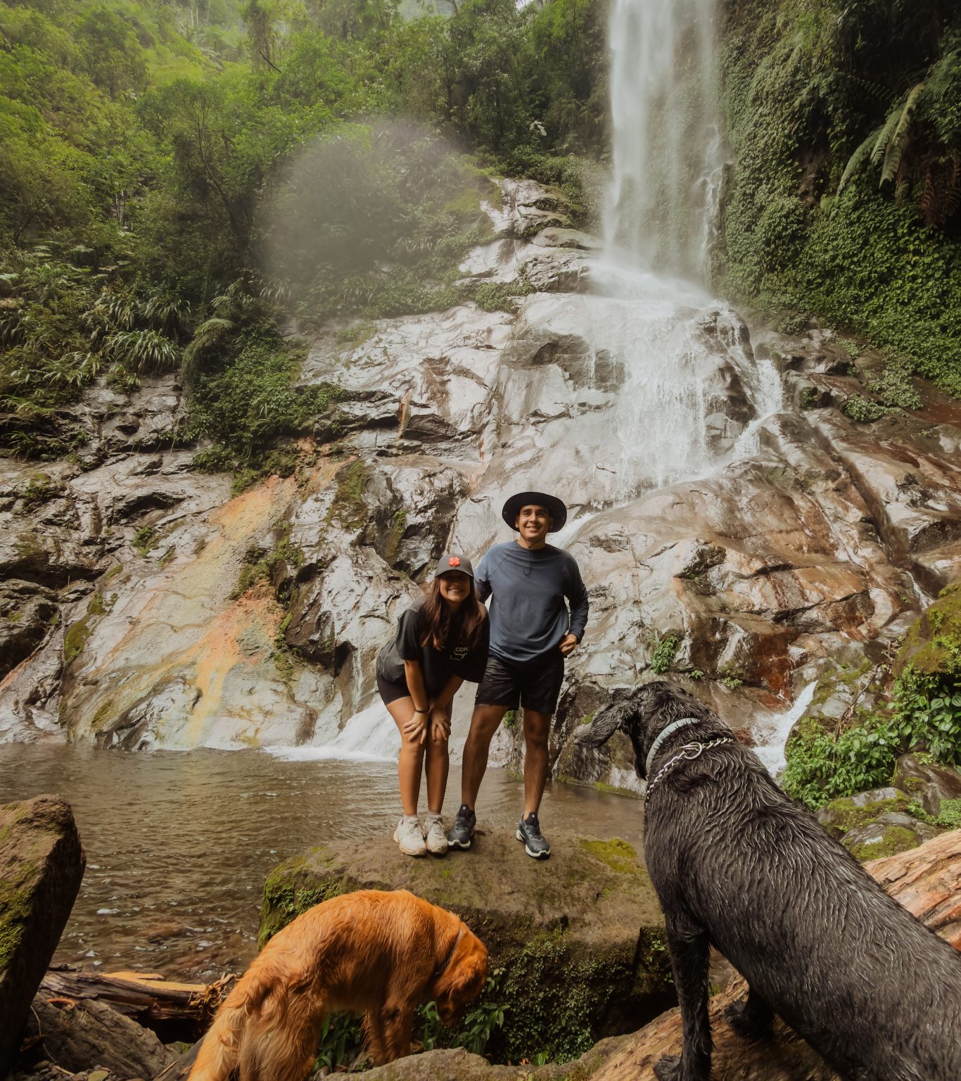 Paulina, Víctor y sus perros